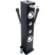 Inovalley Enceinte Bluetooth HP49CD-N - 100W - USB BT FM, 2 Micros