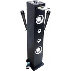 Inovalley Enceinte Bluetooth HP49CD-N - 100W - USB BT FM, 2 Micros